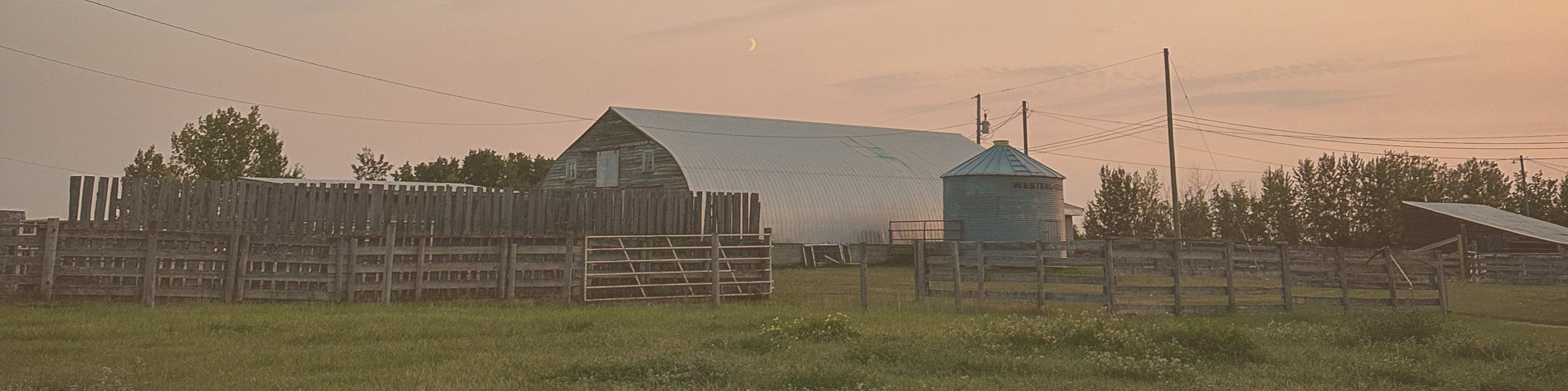 SALE BARN