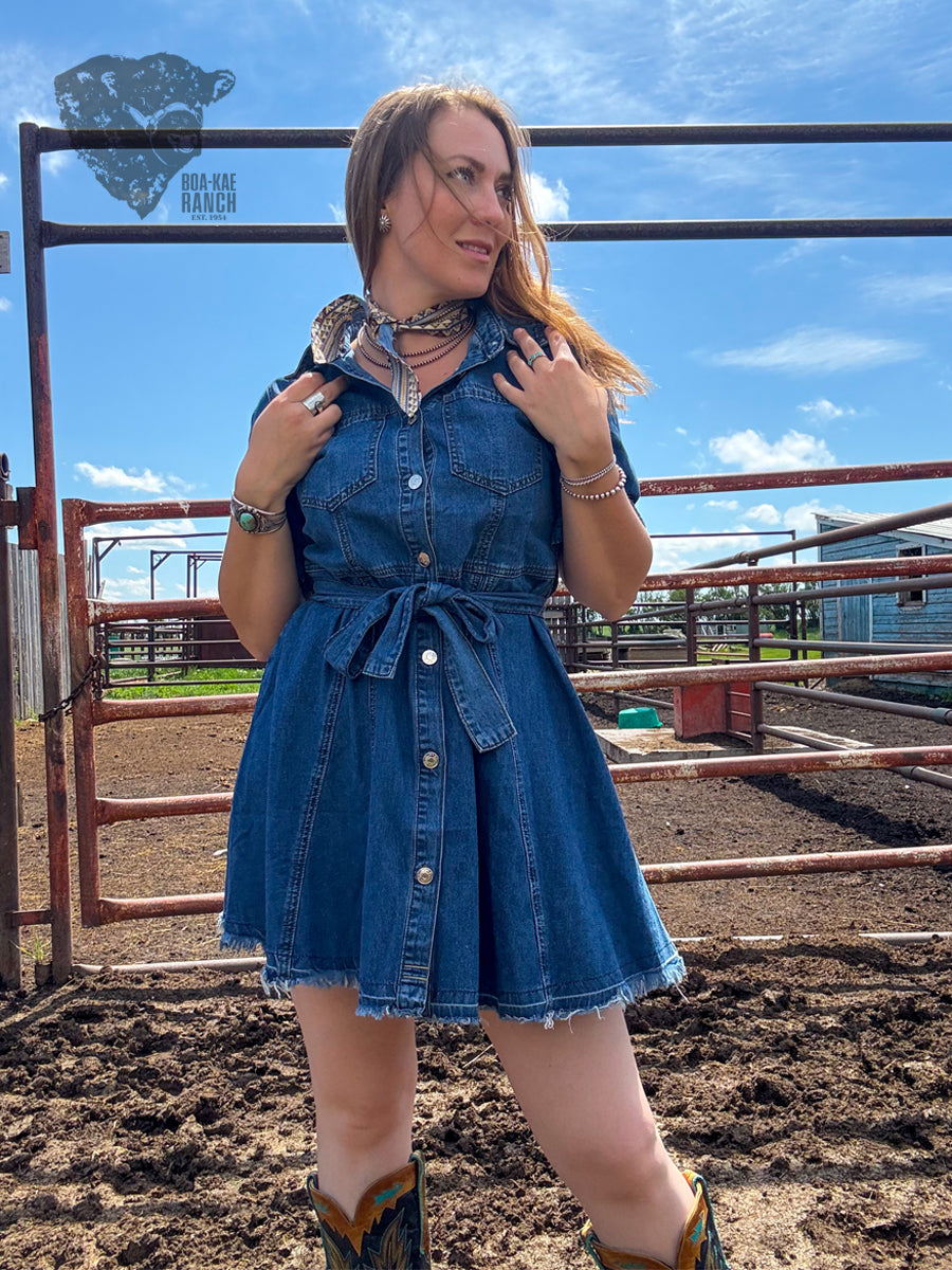Belted Denim Shirt Dress
