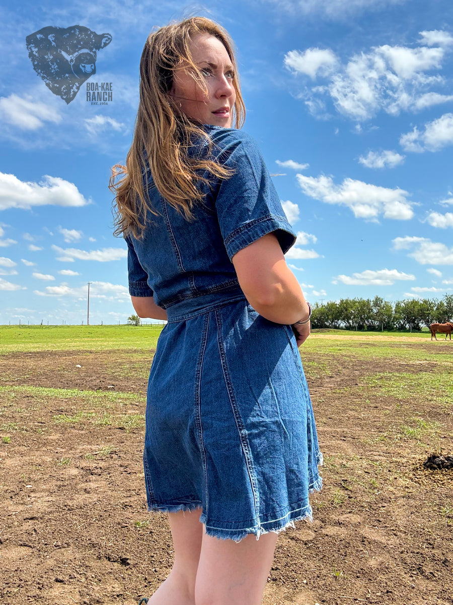 Belted Denim Shirt Dress