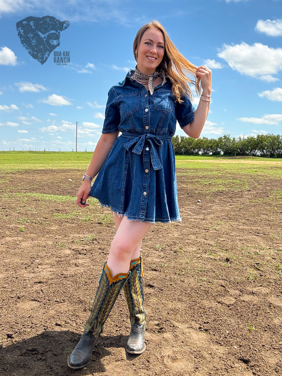 Belted Denim Shirt Dress
