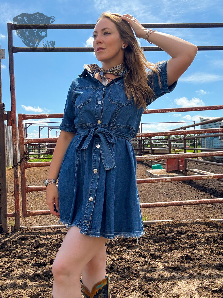Belted Denim Shirt Dress