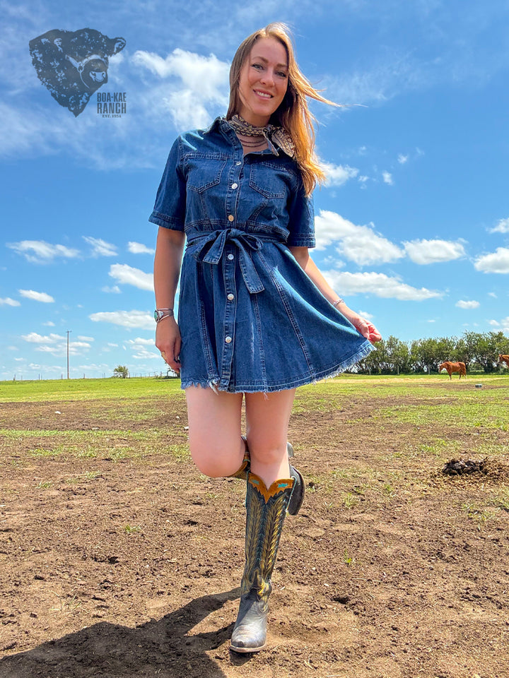 Belted Denim Shirt Dress