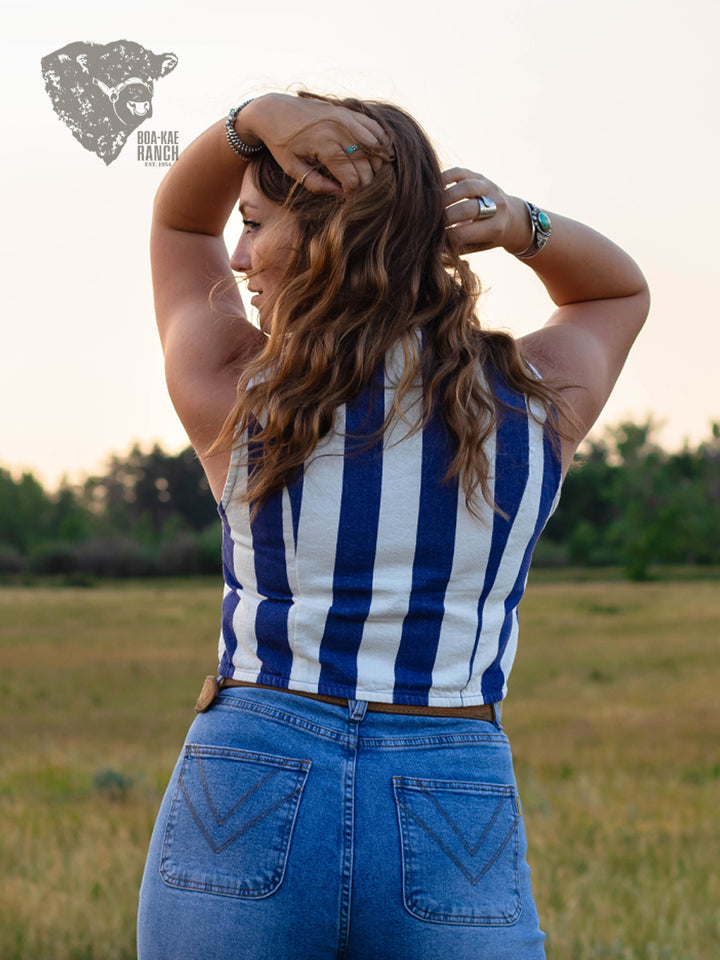 Indigo Striped Vest