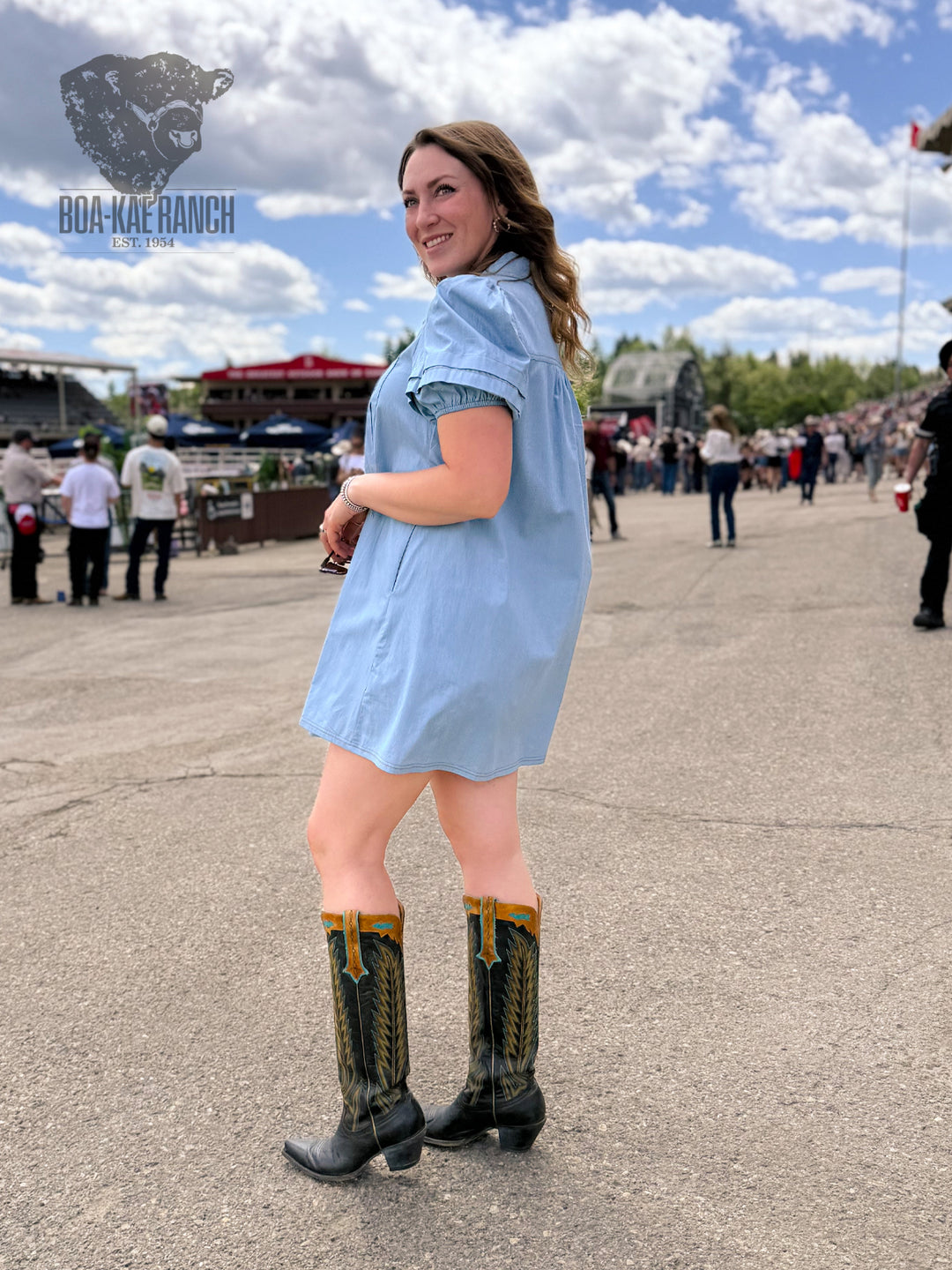Collared Puff Sleeve Denim Dress