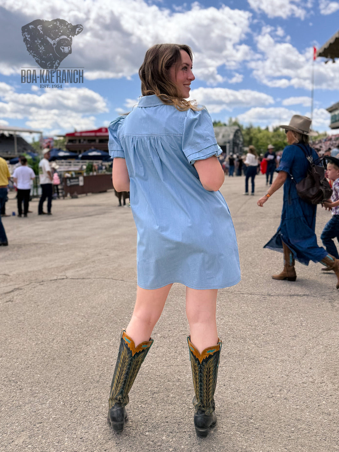 Collared Puff Sleeve Denim Dress