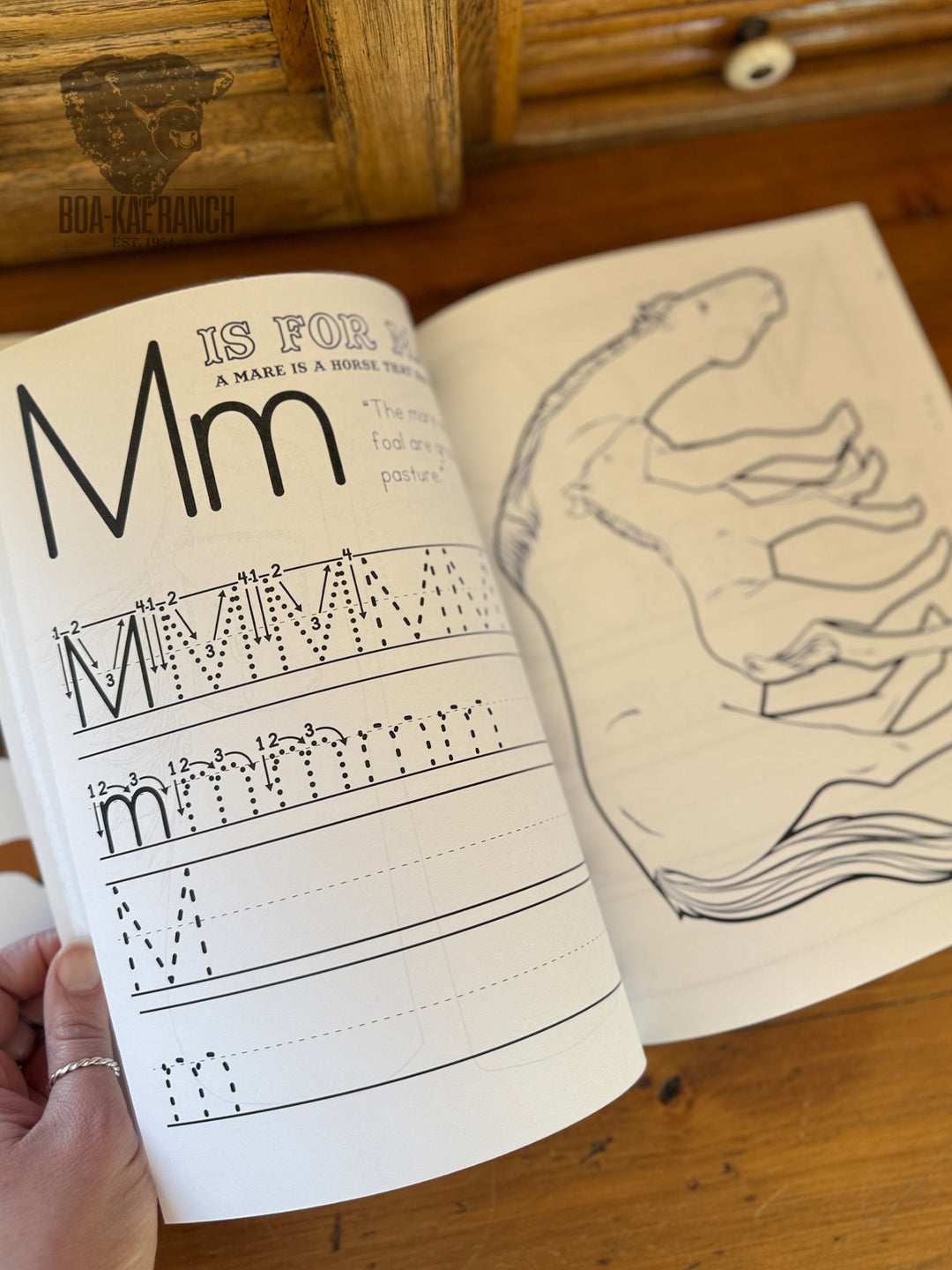 Ranching -  Kids Workbook
