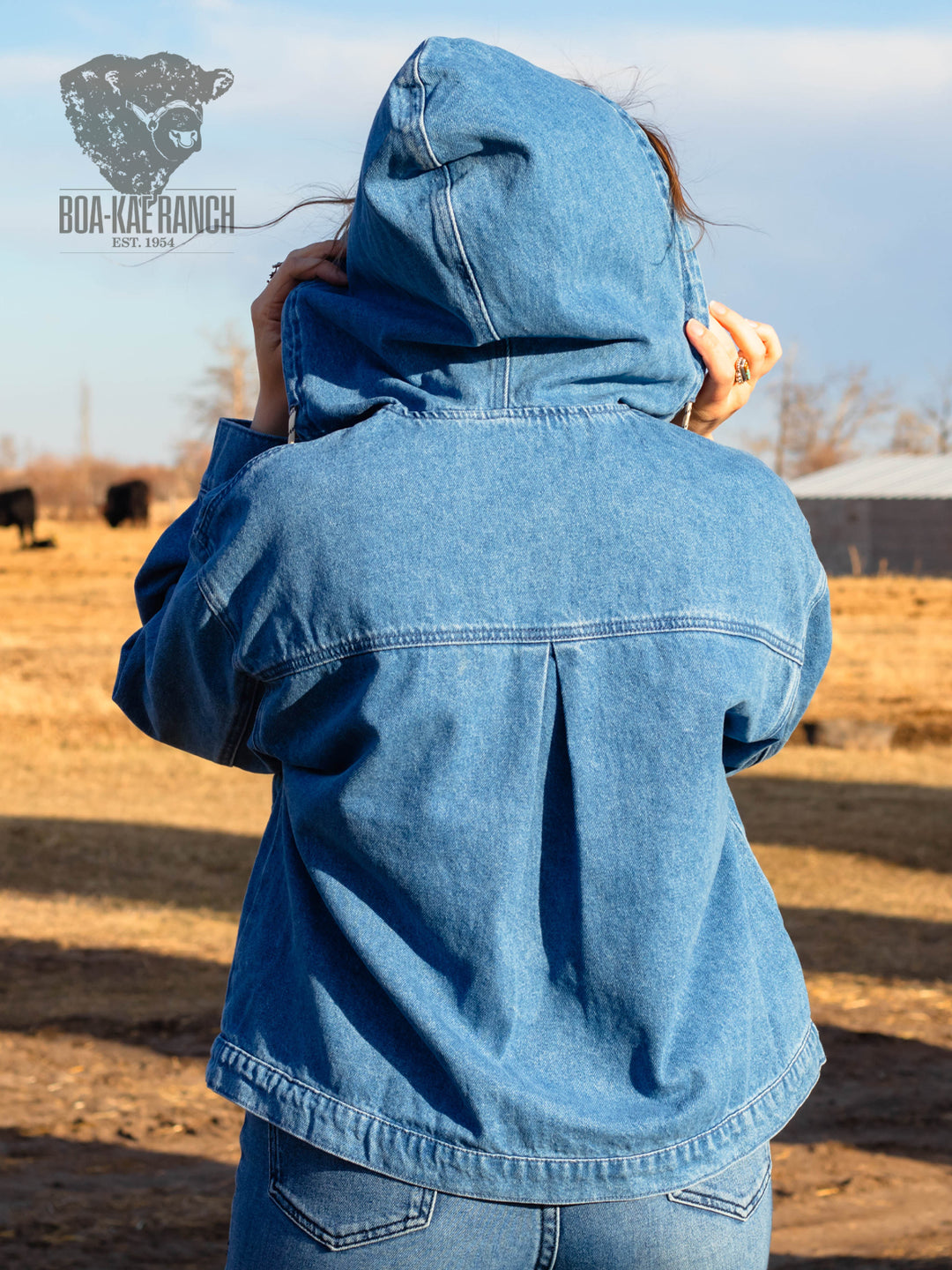 Spring Skies Denim Hoodie