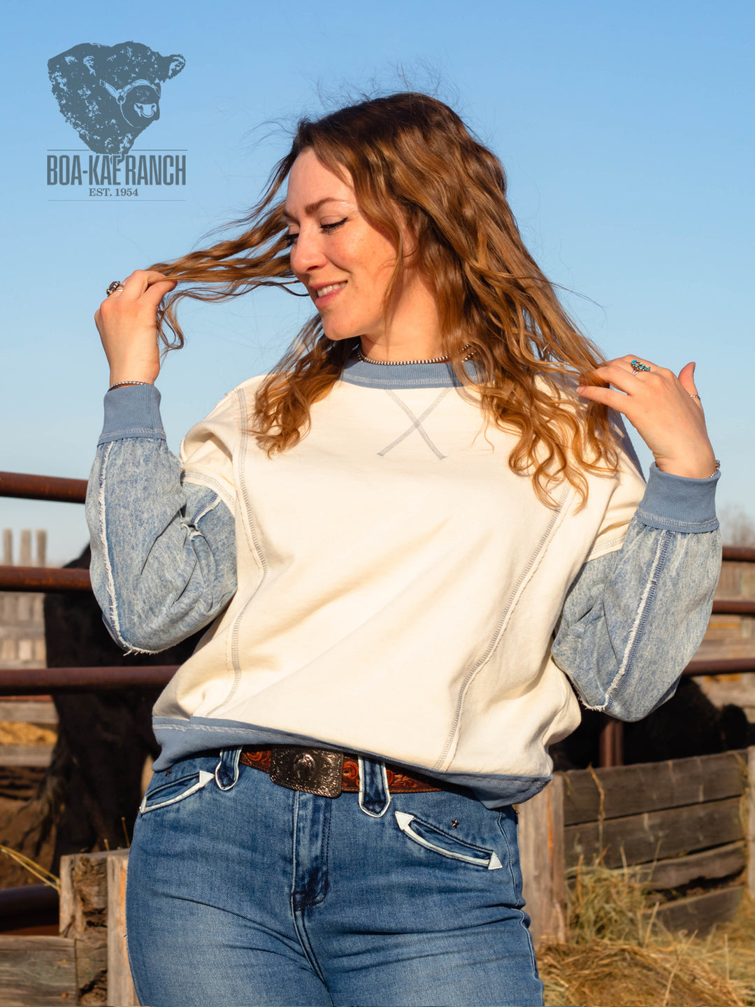 Spring Skies Denim Sleeve Knit Pullover