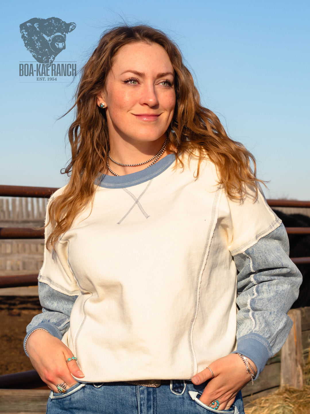 Spring Skies Denim Sleeve Knit Pullover