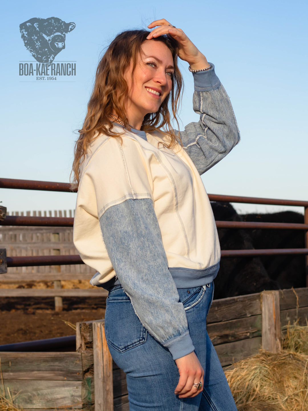 Spring Skies Denim Sleeve Knit Pullover