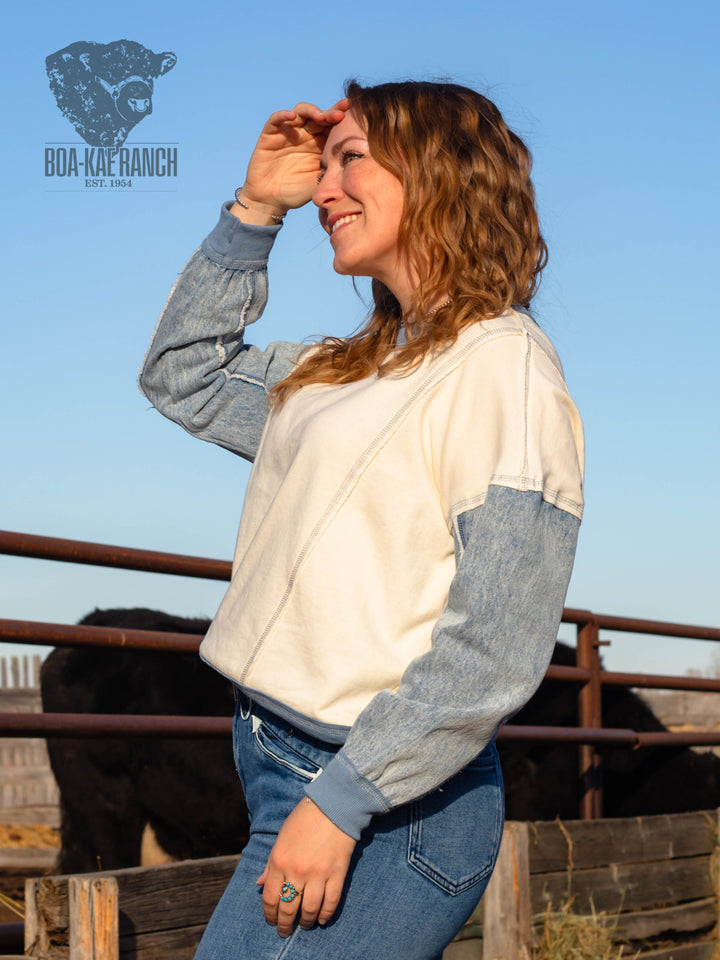 Spring Skies Denim Sleeve Knit Pullover