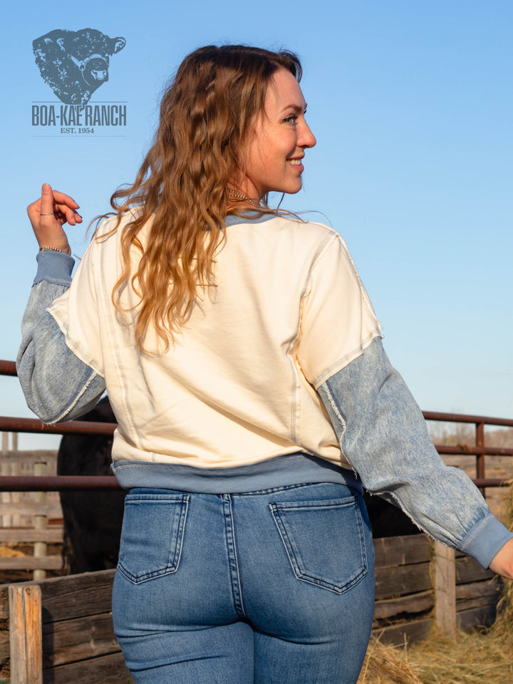 Spring Skies Denim Sleeve Knit Pullover