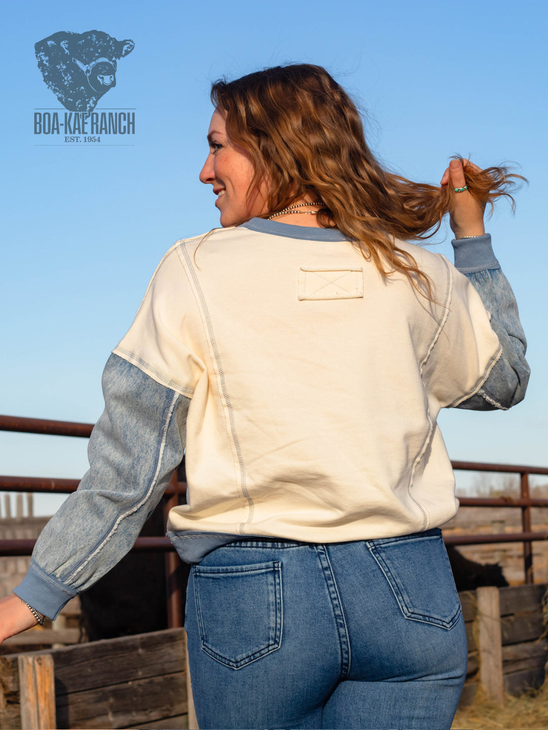 Spring Skies Denim Sleeve Knit Pullover