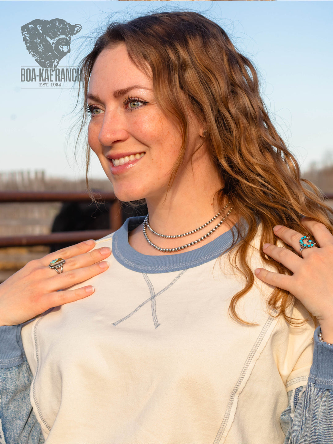 Spring Skies Denim Sleeve Knit Pullover
