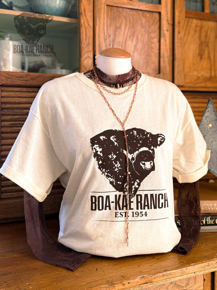 Lace Long Sleeve Top - Black & Chocolate Brown