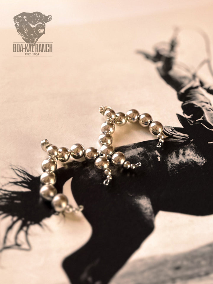 Silver Crescent Earrings