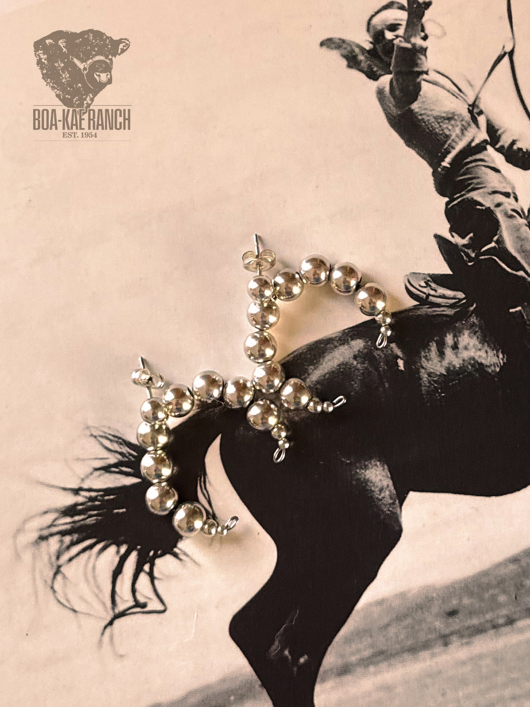 Silver Crescent Earrings