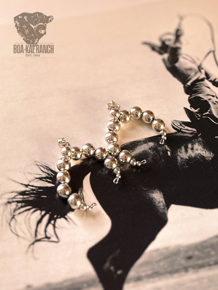 Silver Crescent Earrings