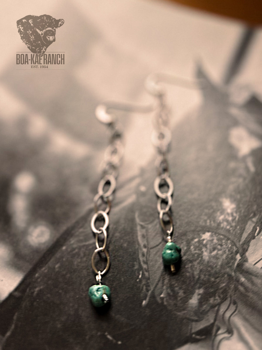 Silver Chain & Turquoise Earrings