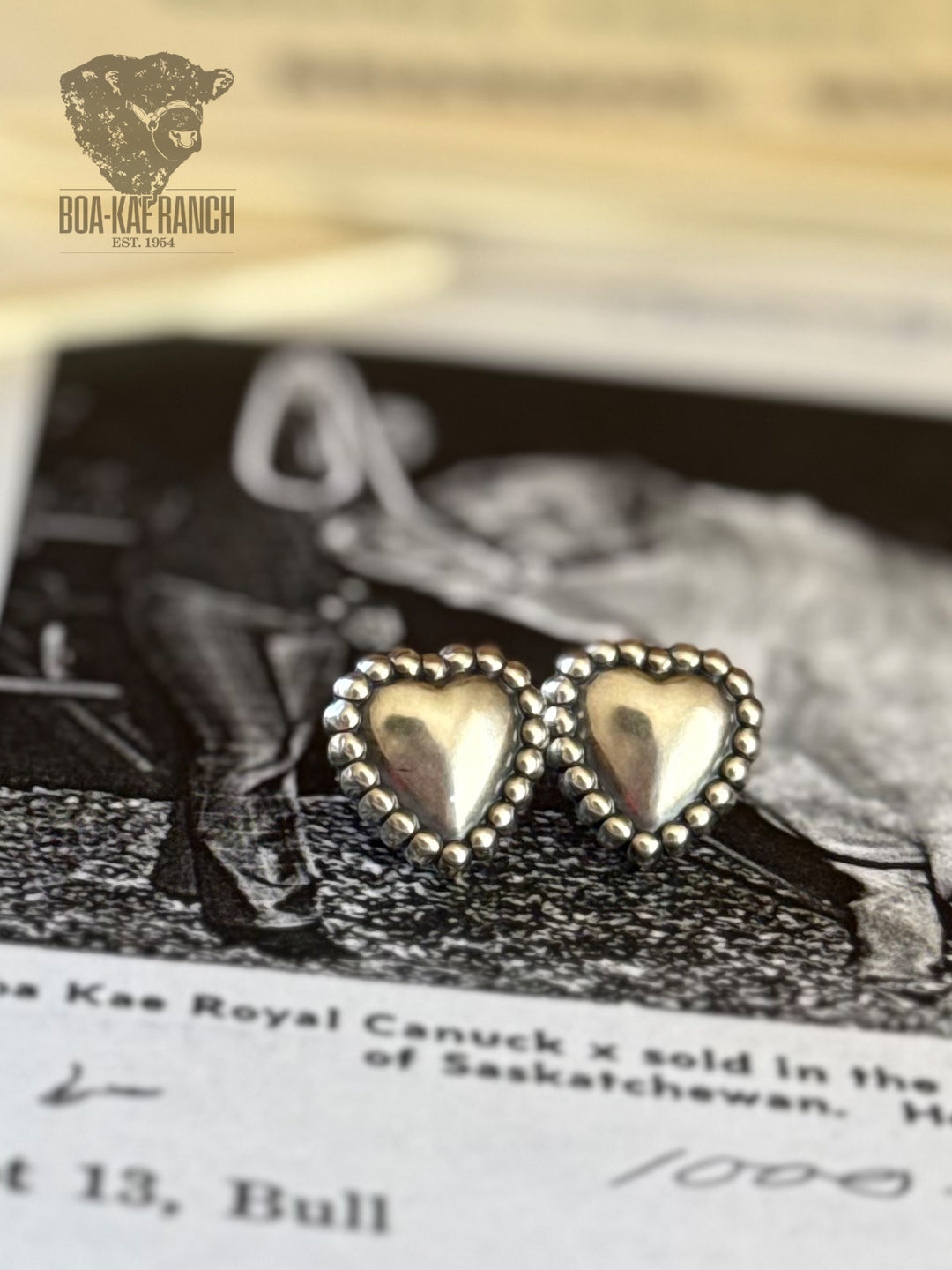 Heart Concho Stud Earrings